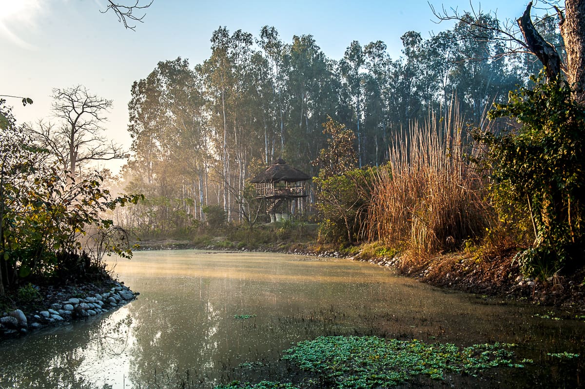 The Retreat - Grounds 2