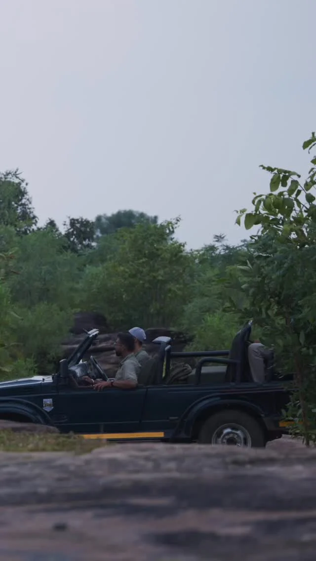 The difference between a good lodge and a great one lies in its commitment to go beyond
hospitality and create memorable experiences in remote destinations. 

@jehannumawilderness 
#wildpanthera #safari #india