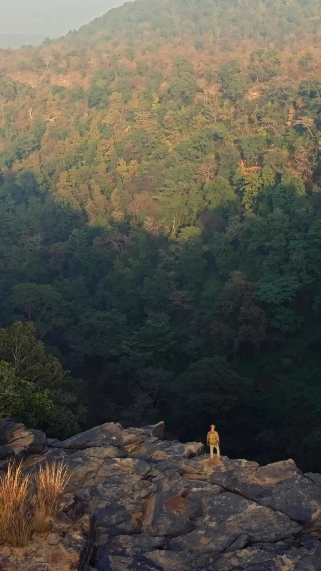 The story of Central India’s wilderness begins on the sandstone cliffs of the Vindhyas. Weathered over millennia, these ancient hills stand as a testament to India’s remarkable geography, where the spirit of the wild continues to endure. 

#walkingsafari #india #wildpanthera