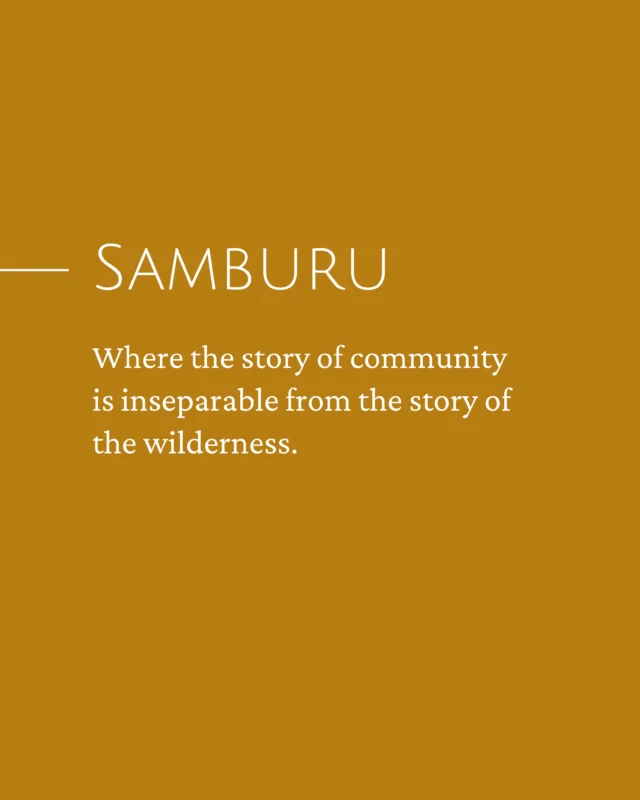 The Samburu are one of Kenya’s most enduring pastoral communities. Their lives are shaped by livestock, family, and a deep understanding of the land they have called home for generations. Known for their resilience, strong sense of community, and rich cultural traditions, they continue to play an important role in protecting the landscape and wildlife that surrounds them.

#wildpanthera #africa #samburu