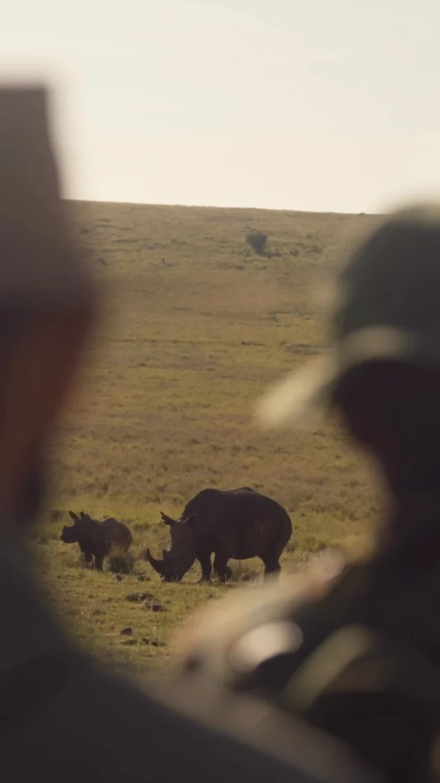 Respect for nature comes naturally when you walk the African bush. 

#wildpanthera #africa #walkingsafari