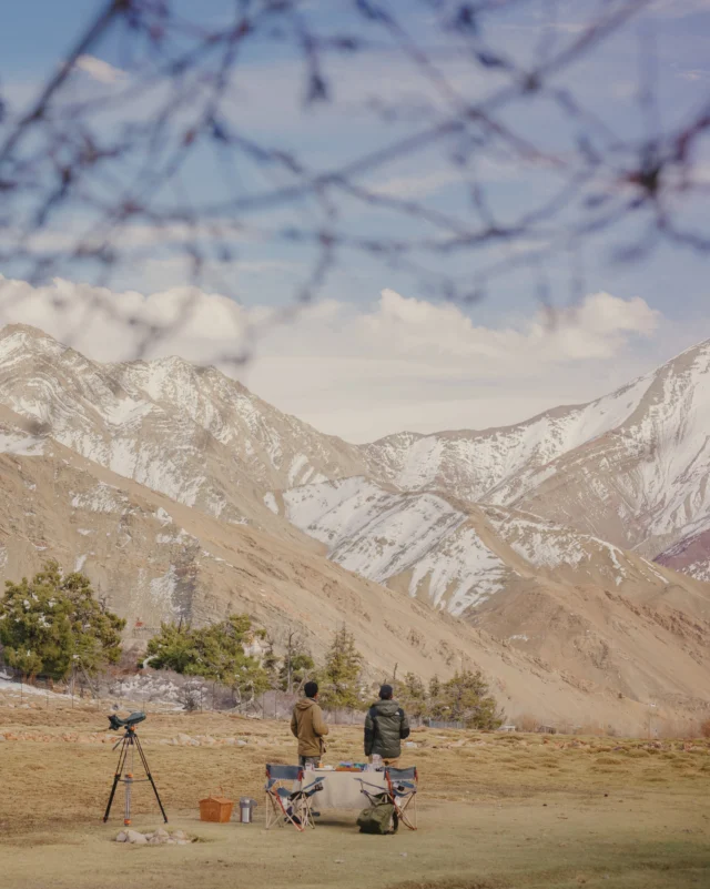 Hours of observation; the pursuit of a snow leopard is unlike any other wildlife experience. Here, patience and persistence are inseparable.
 

#wildpanthera #ladakh #india