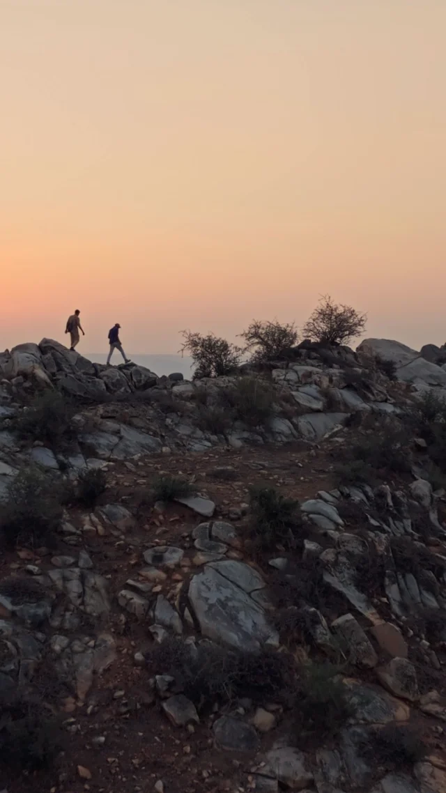 Some of India’s most rewarding wilderness experiences begin where the safari tracks end. The granite landscape around Tehla, on the edge of Sariska, is best explored on foot. Walking through these boulders offers a closer understanding of the land, its wildlife, and the natural history that cannot be experienced from a vehicle alone. 

#wildpanthera #boulders #safari #india