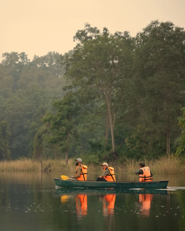There are moments that ask for no sound. 
Drifting quietly, carried by the current, immersed in the rhythm of the wild. 

#wildpanthera #canoe #india