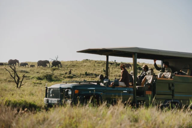 Many private conservancies across East Africa have evolved from family owned ranches and vast grazing lands, landscapes that naturally supported the movement of large herbivores across the savannah.

Today, these conservancies and the people behind them stand as a testament to the true spirit of land conservation and some of the most compelling examples of ecosystem restoration.
The African savannah is unlike anywhere else. To experience it from behind the wheel, moving freely through these landscapes, is a privilege few get to experience.